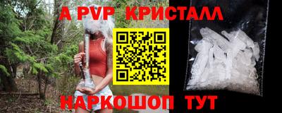 apvp Кунгур