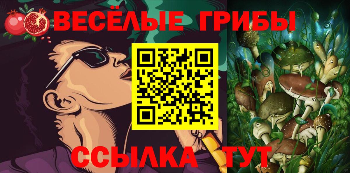 Псилоцибиновые грибы Psilocybine cubensis Ишим