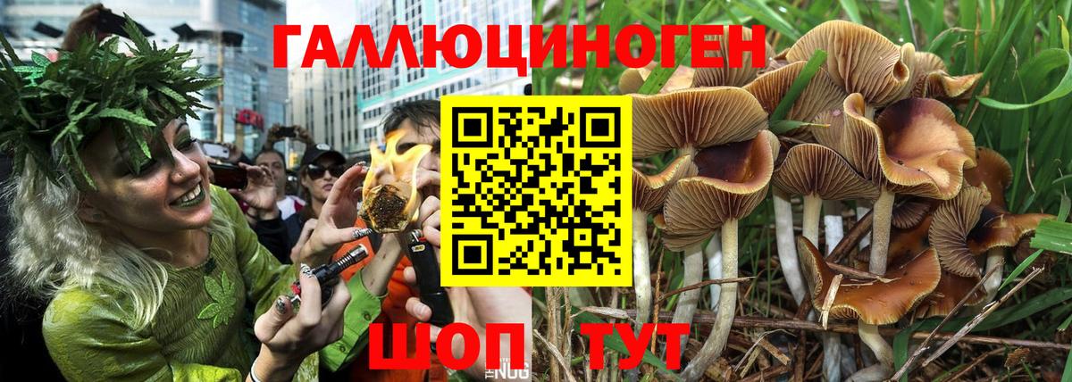 Ишим  Галлюциногенные грибы Psilocybe  Вход с VPN  Псилоцибиновые грибы Cubensis 